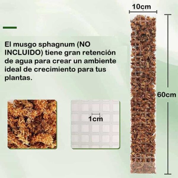 Soporte vertical para plantas trepadoras - Imagen 4