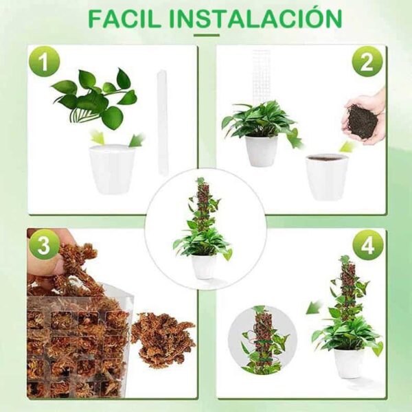 Soporte vertical para plantas trepadoras - Imagen 3