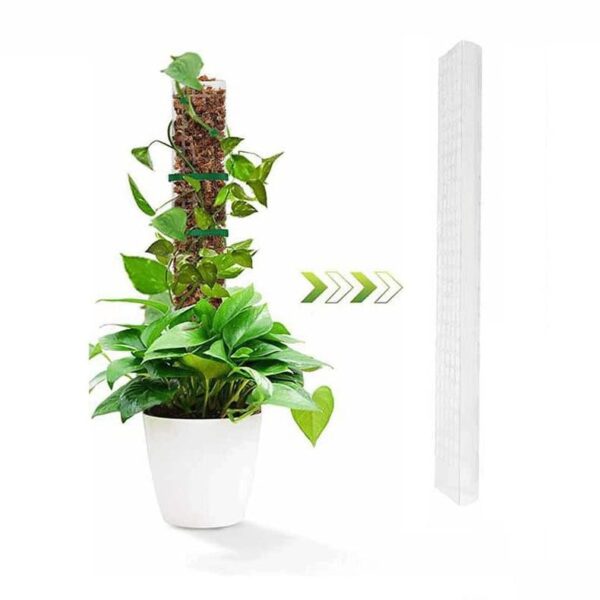 Soporte vertical para plantas trepadoras