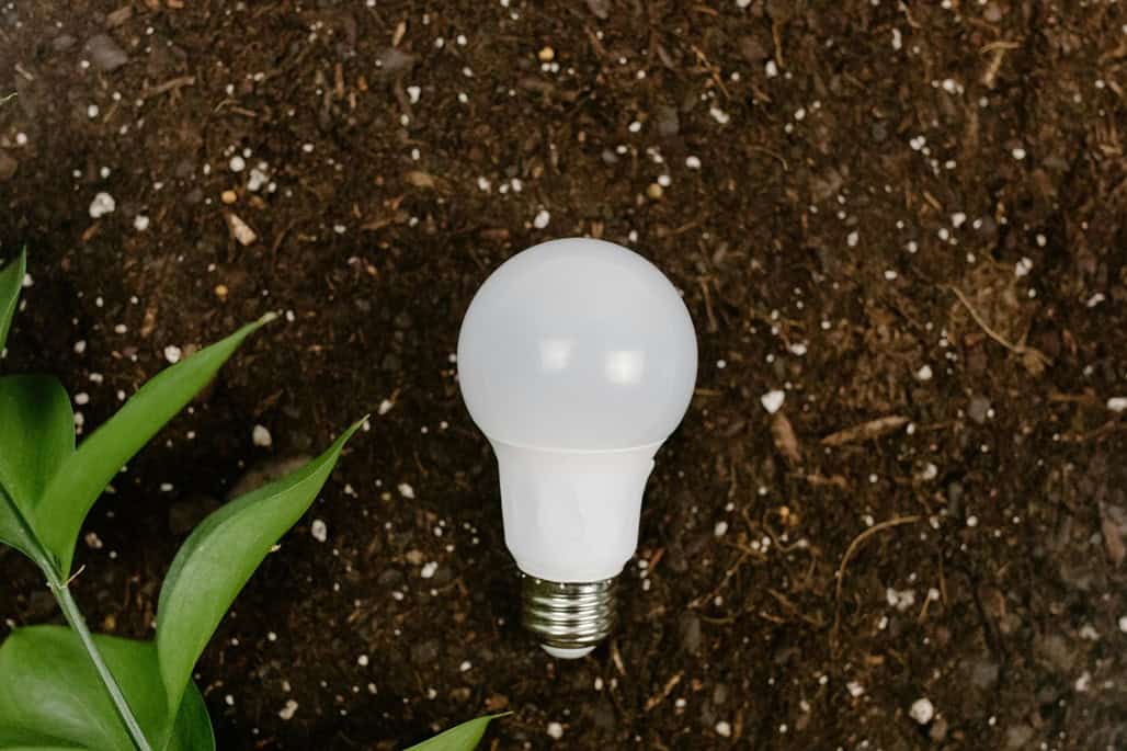 La importancia de la Luz adecuada para tus plantas